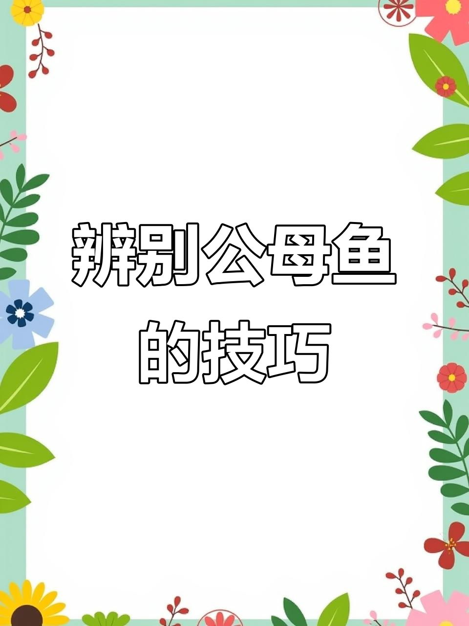 如何分辨公母鱼?尾巴颜色最准