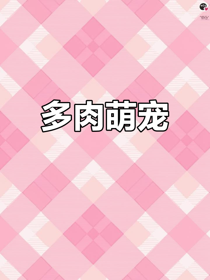 千代田之松,肉感十足,超爱这种圆润可爱的多肉!