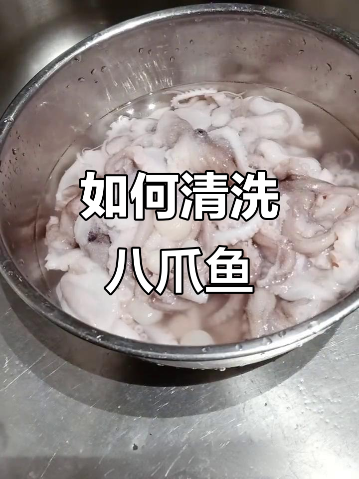 八爪鱼清理技巧大揭秘,轻松去粘液和牙齿