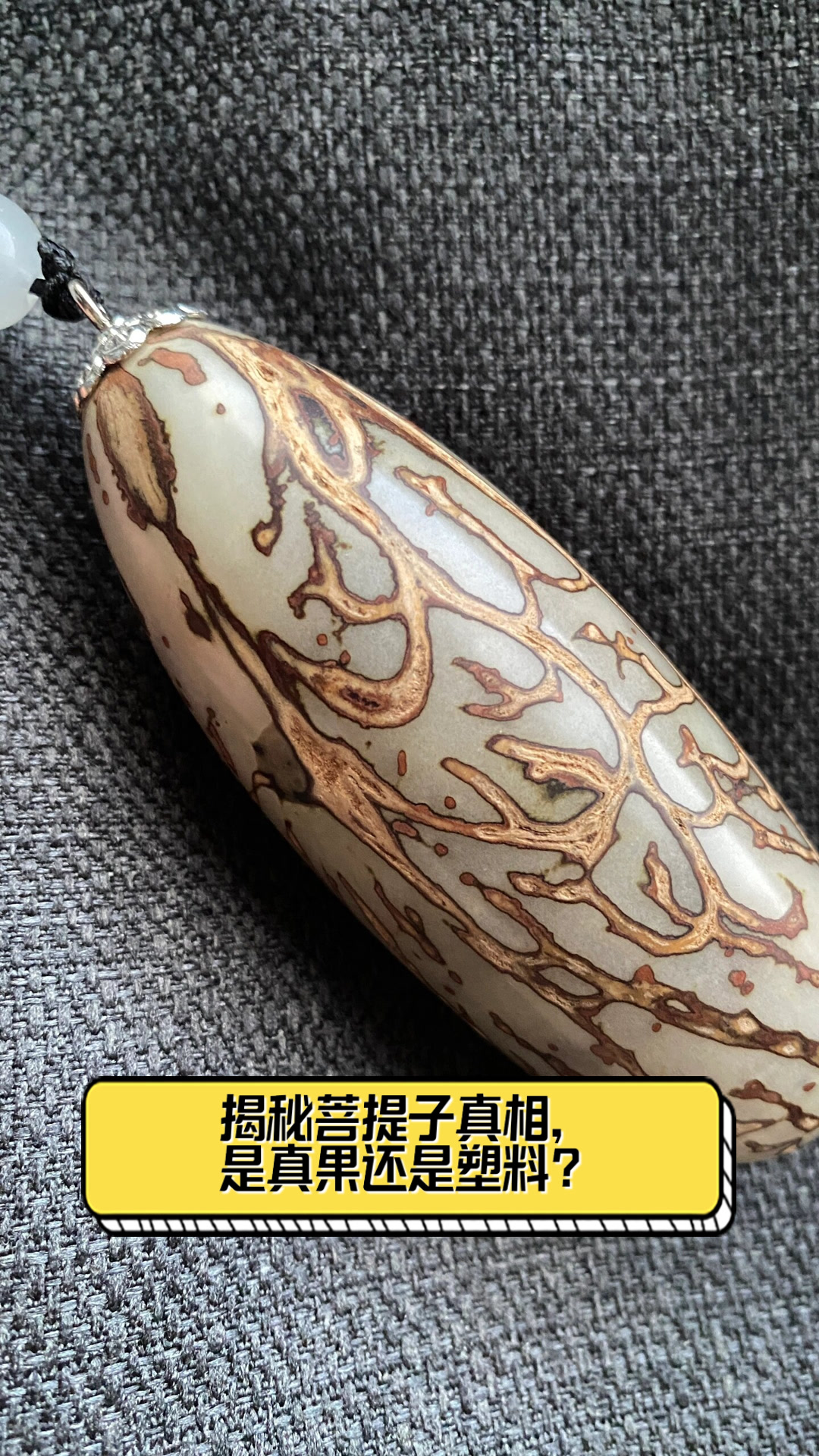 揭秘菩提子真相,是真果还是塑料?