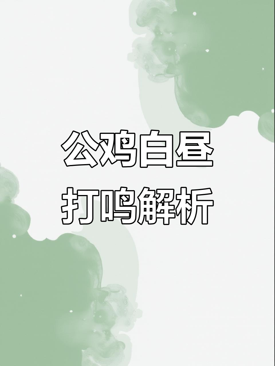 公鸡白天打鸣是吉兆还是正常现象?