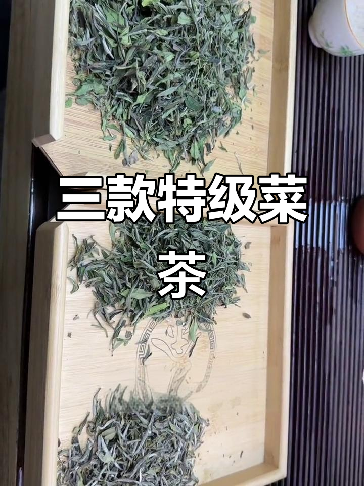 揭秘三款顶级菜茶,王中王的惊艳登场