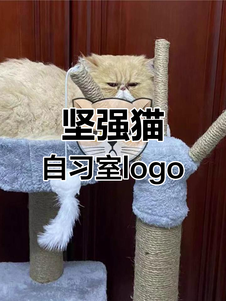 以猫形象设计的自习室logo