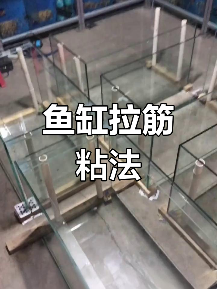 鱼缸拉带加固技巧,轻松搞定不漏水