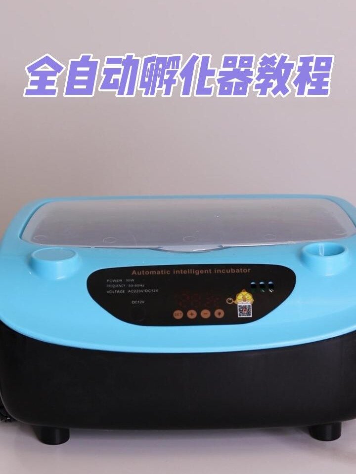 孵化器全自动家用孵化小鸡鸡蛋教程全过程