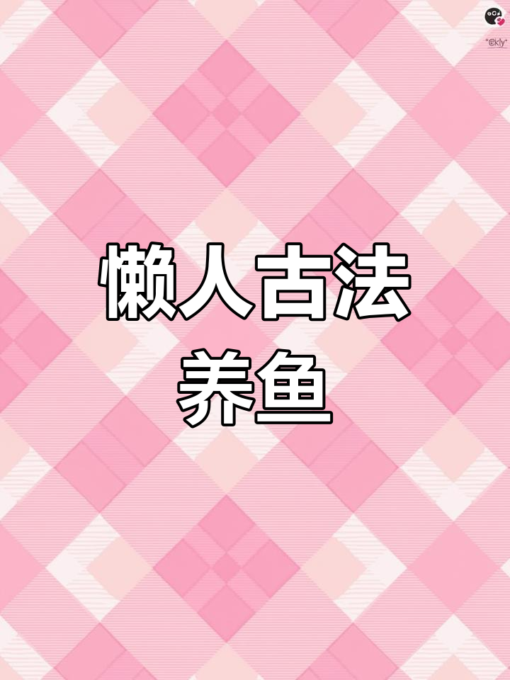 懒人养鱼法,古法生态缸轻松打造!