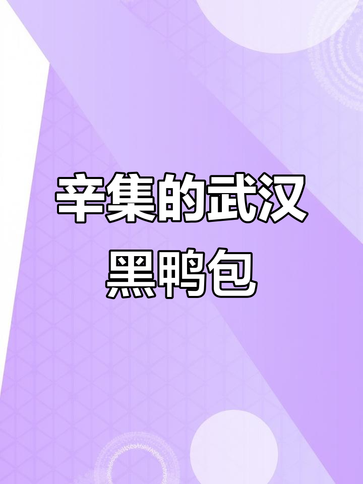 辛集街头新发现!正宗武汉黑鸭煲,热干面搭配汤汁超美味