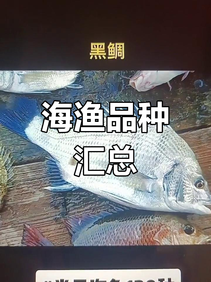常见海鱼种类大全