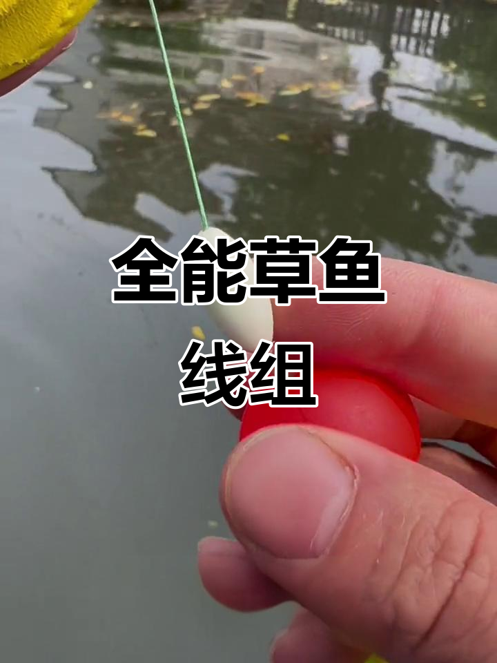 草鱼线组，昼夜通用，浮钓底钓皆宜，实用又灵敏！