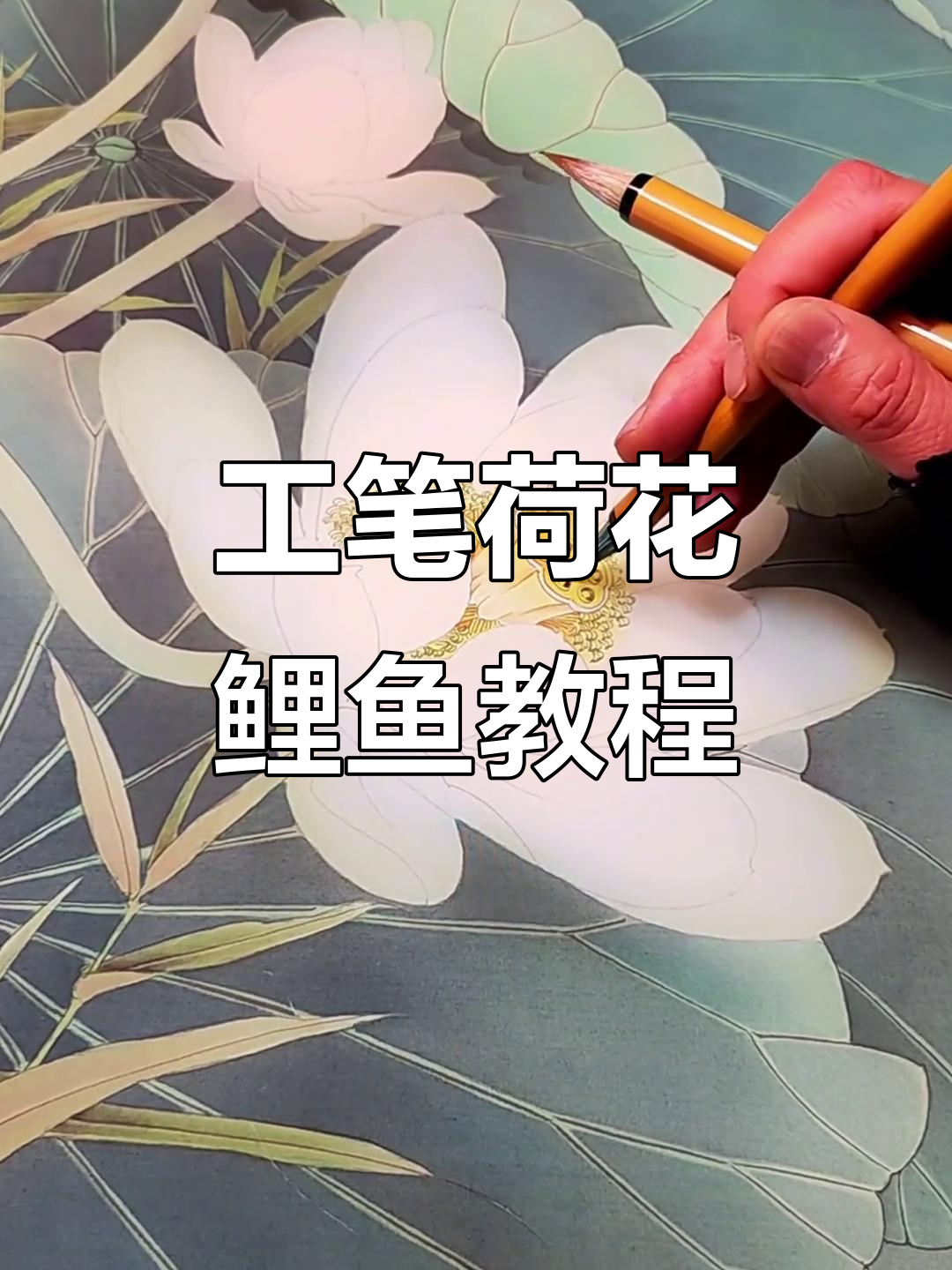 荷花鲤鱼四条屏之一,零基础也能轻松学会的工笔画技巧