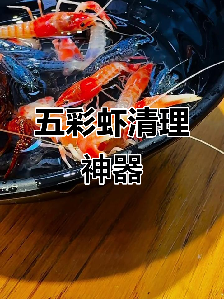 鱼缸里放几只五彩虾,清洁又繁殖,省心又美观!