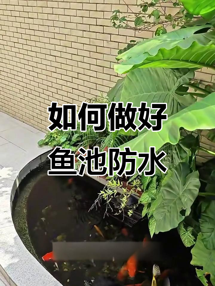 鱼池防水全攻略:两种方法教你如何做长久防护