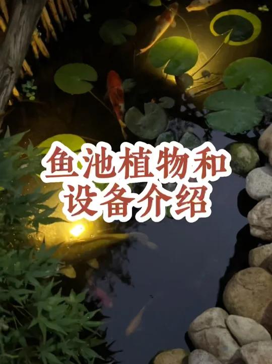 鱼池植物和设备介绍