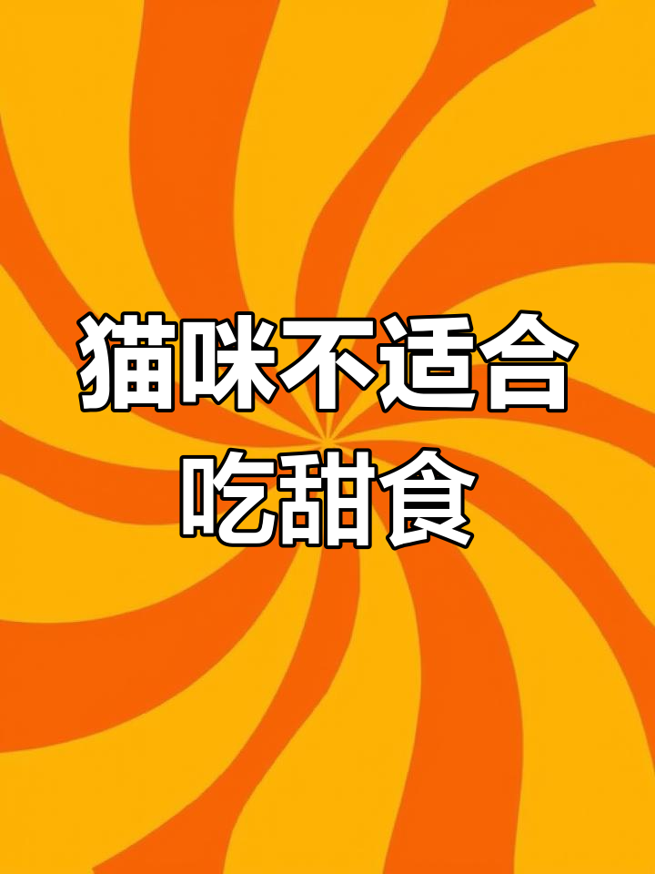 猫能吃蛋糕和奶油吗?