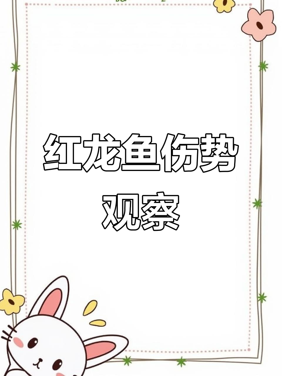 6条红龙混养,小红龙受伤掉鳞,还能恢复吗?