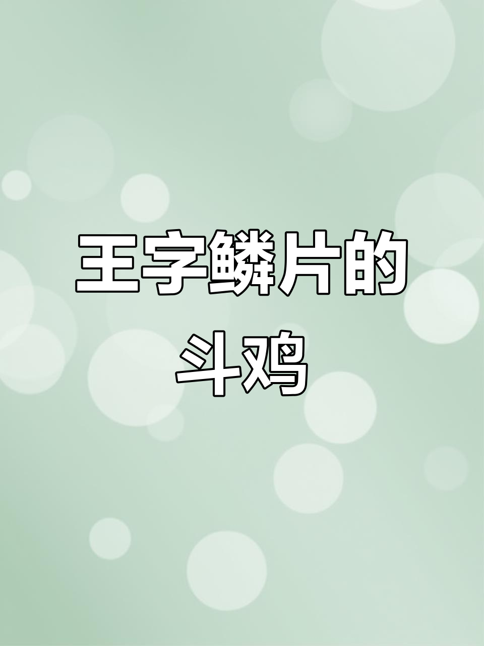 越南斗鸡的王字鳞片:聪明、坚韧与邪恶攻击力