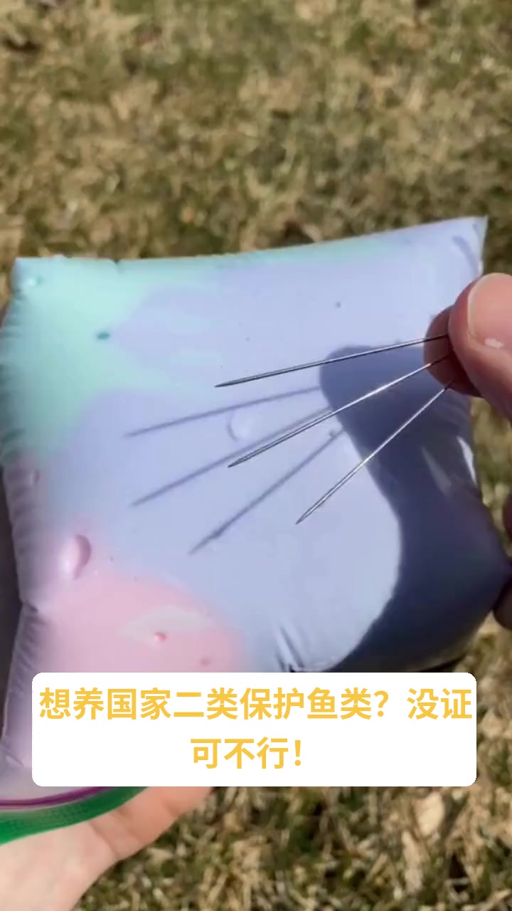 养殖国家二类保护鱼类要办理哪些证