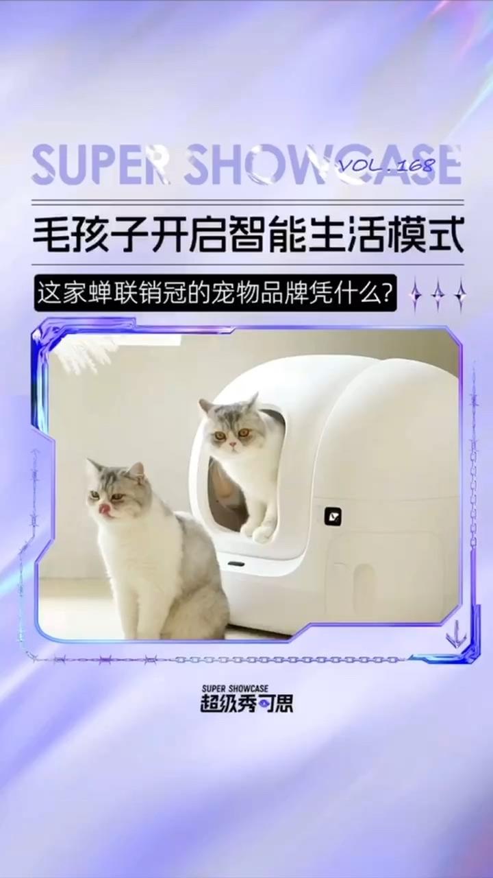 宁愿自己吃糠咽菜,也要保证毛孩子的生活品质,说的是你吗?