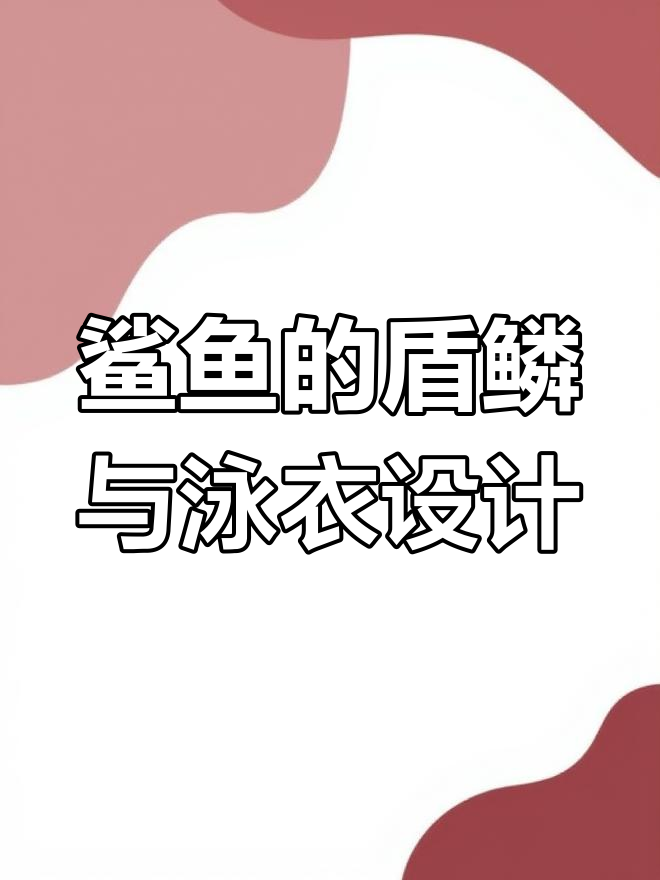 鲨鱼皮肤上的“牙齿”秘密,揭秘如何减少水流阻力
