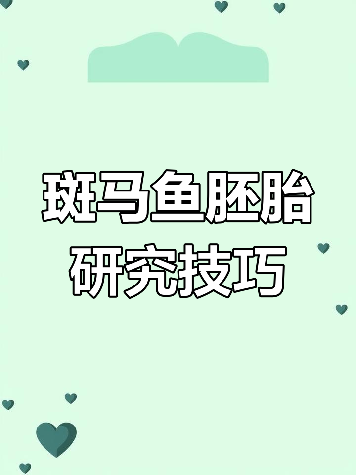 斑马鱼胚胎发育与基因操作:从显微注射到化学筛选