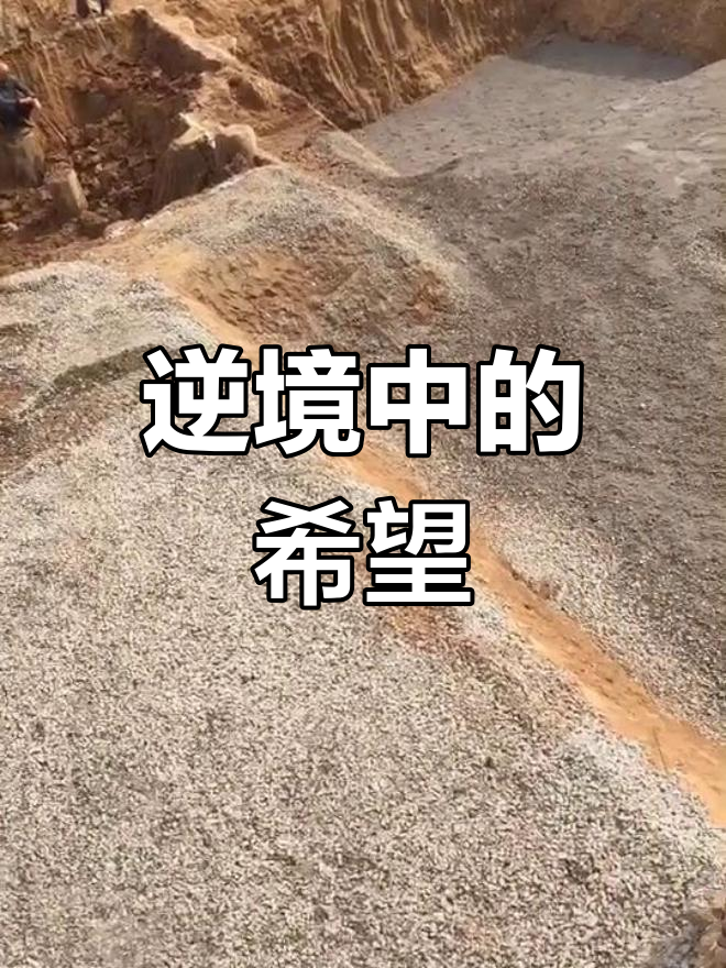 生意惨淡,借百万建甲鱼池,心里七上八下,期待能东山再起