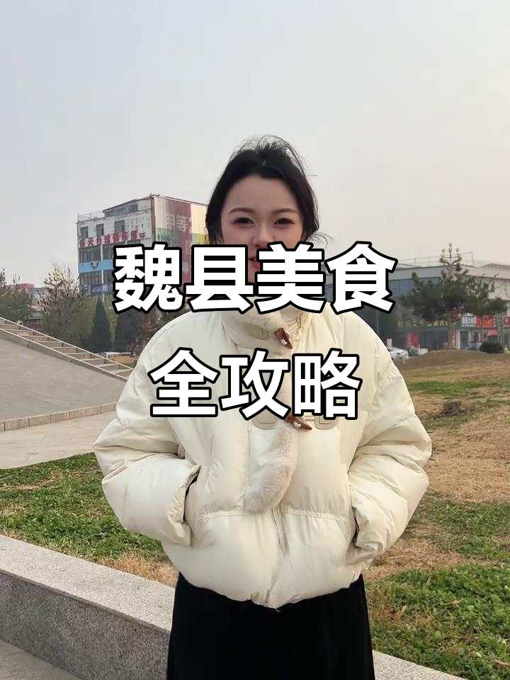 魏县大碗菜、烧饼辣条，满满家乡味！