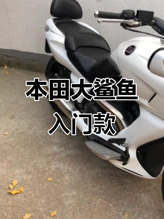 本田大鲨鱼:低坐姿、双缸水冷,轻松上手