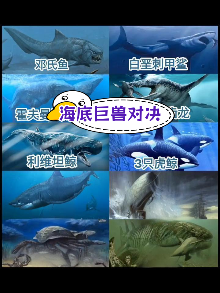 海洋生物大比拼:邓氏鱼、翼鲎与白垩刺甲鲨