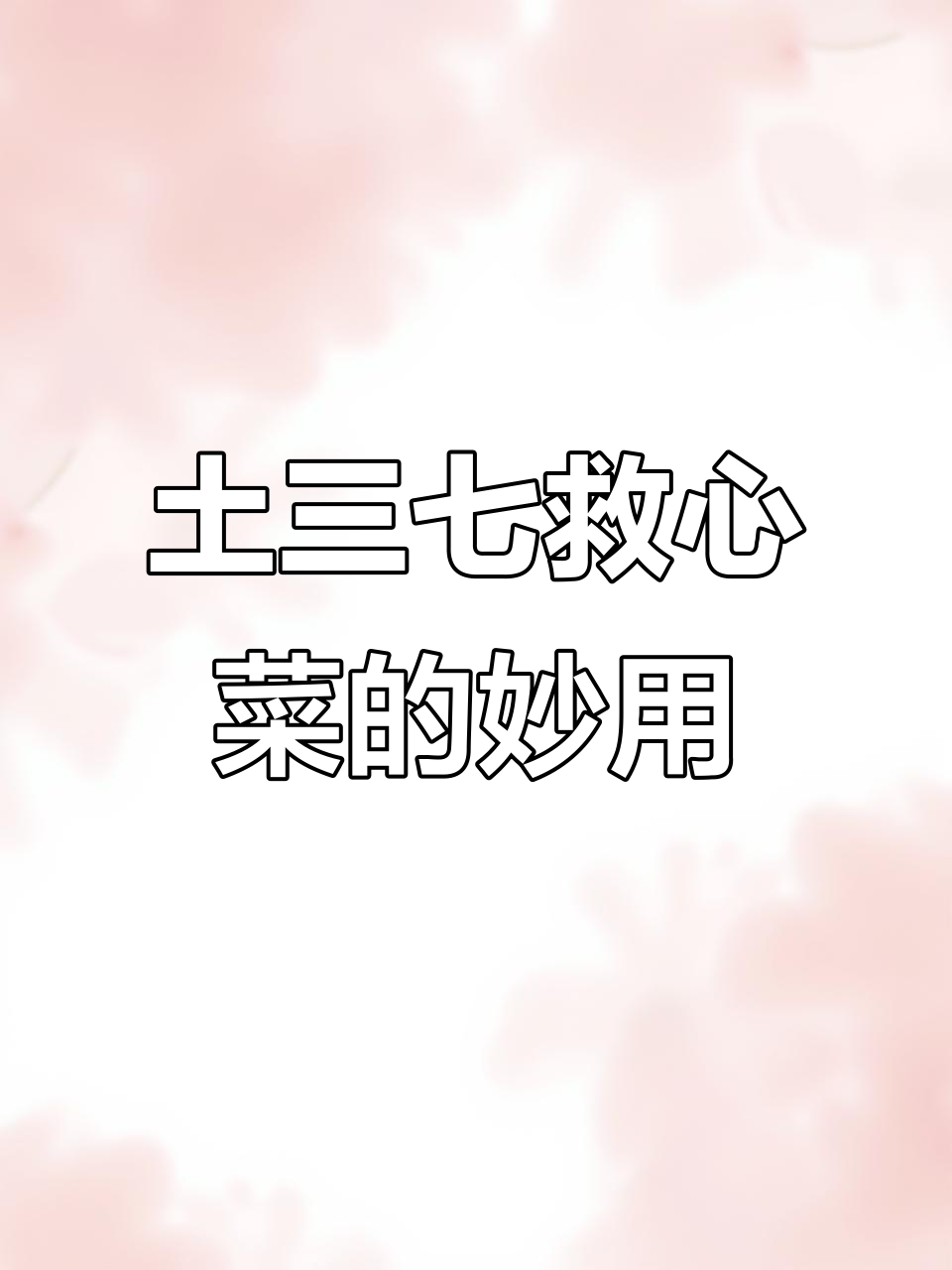 土三七救心菜:夏季开花,蚊子咬了也能用