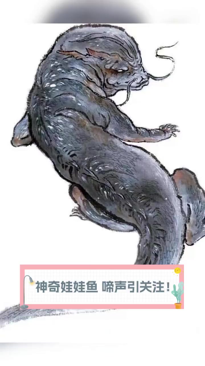 神奇娃娃鱼,啼声引关注!