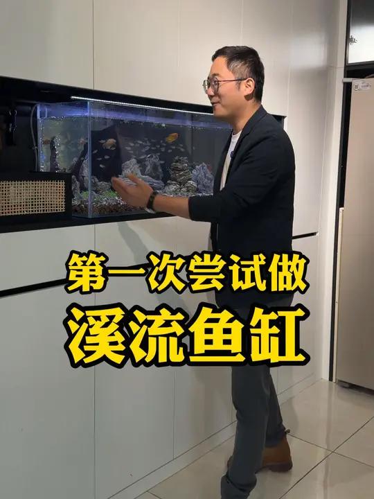 花了一天多的时间,造了这个鱼缸,还好结果没有让我失望 溪流缸 原生造景 室内景观 改造日记