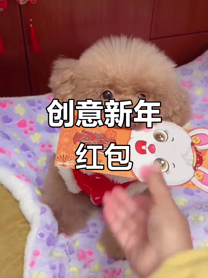 新年红包太可爱,大人小孩都喜欢的创意设计