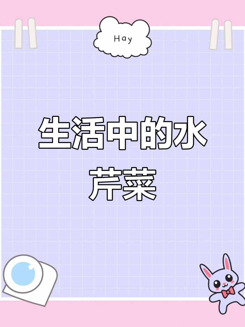 水芹菜的日常,简单却充满生活的味道