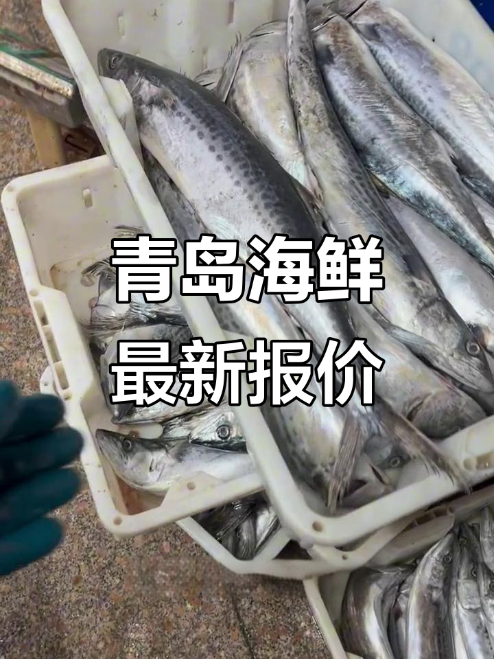 11月青岛海鲜大揭秘:皮皮虾、马鲛鱼等价格一览