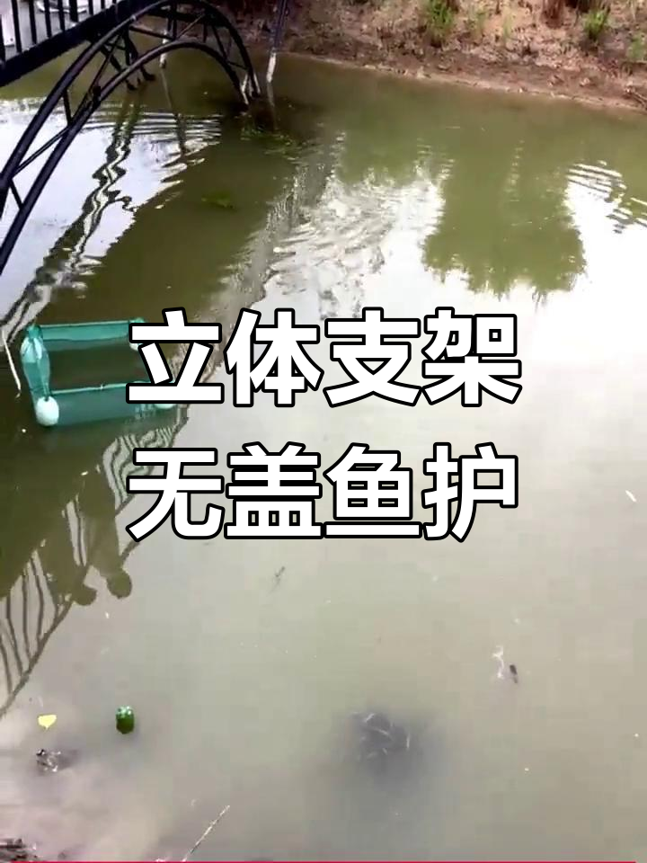 无盖漂浮鱼护网箱,防逃防跳大空间