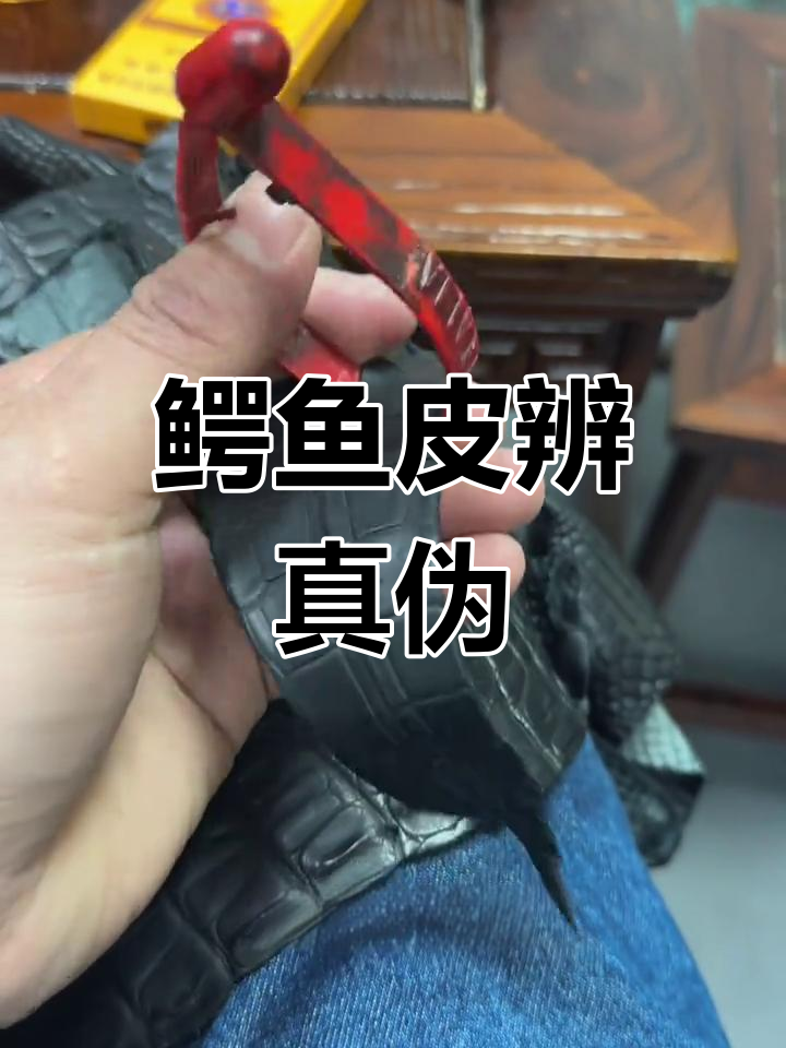 如何辨别真假鳄鱼皮?教你轻松识别优质皮革!
