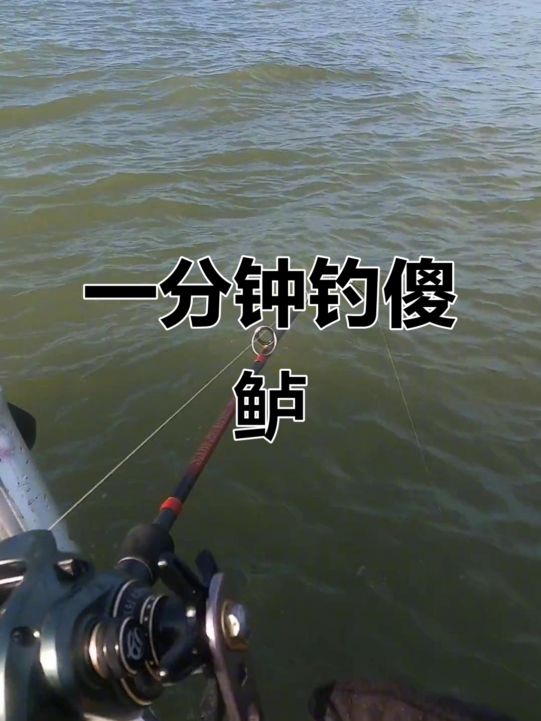 傻鲈鱼一分钟上钩，海钓技巧大揭秘