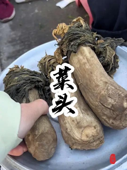 好好吃饭大赛,同学们,菜头你们都是怎么吃的呢?