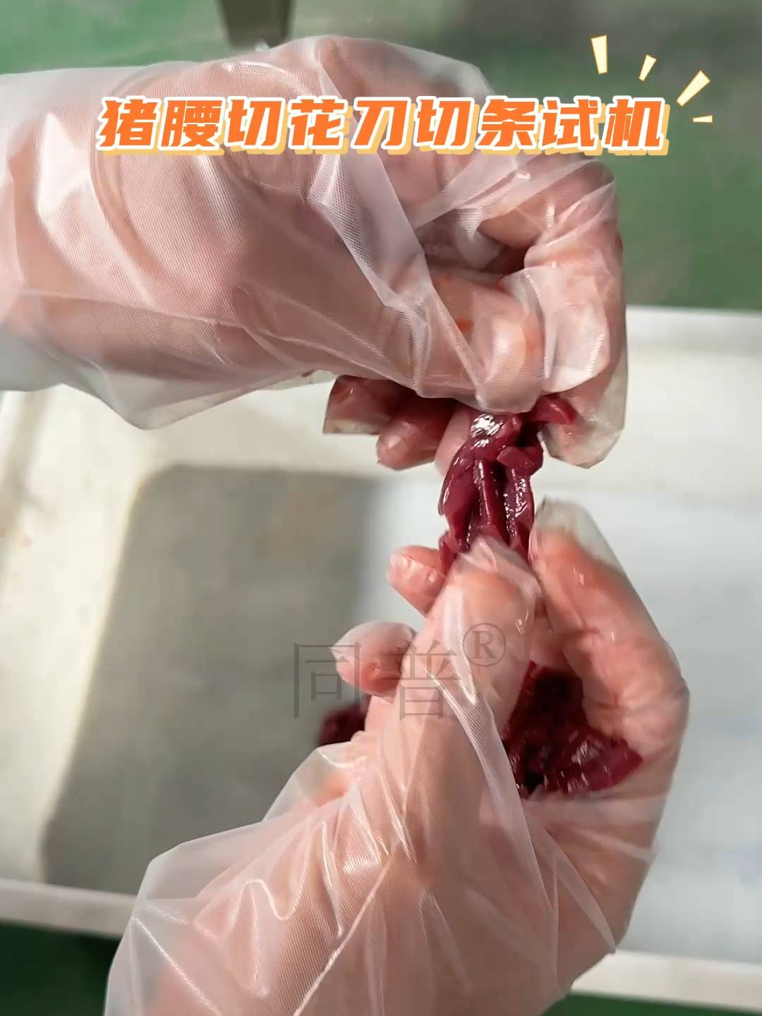 猪腰一次性切花切段1.5厘米