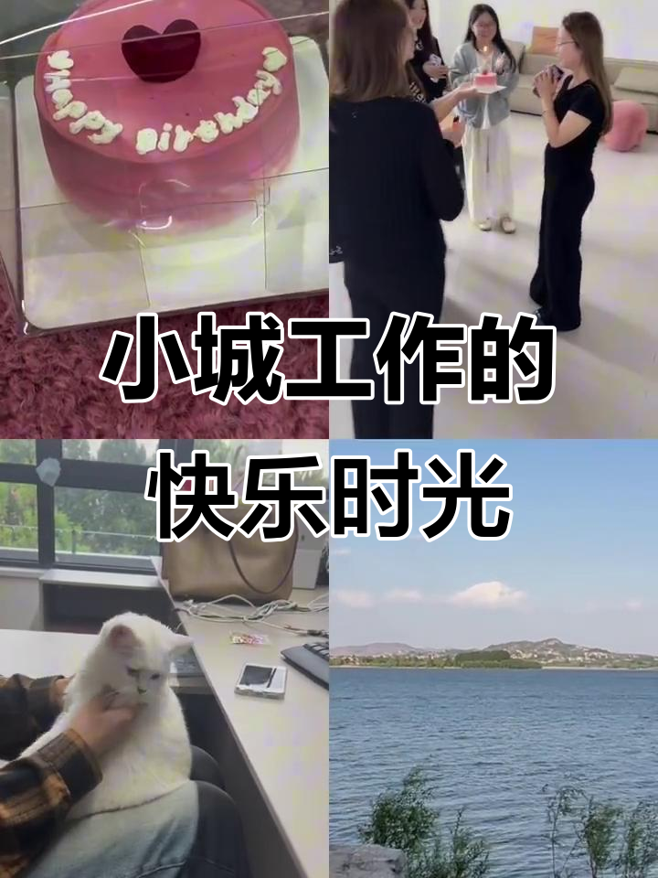 小县城工作日常:生日蛋糕、泡面与狗狗陪伴