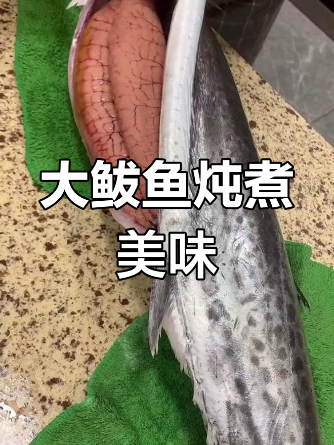 9斤大鲅鱼,炖法新尝试