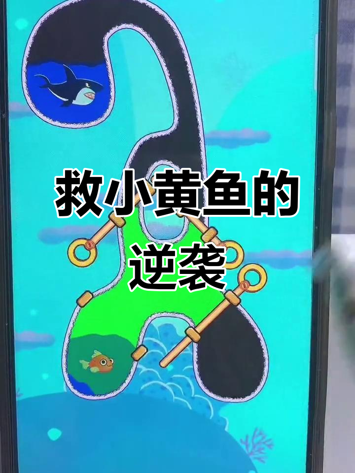 小黄鱼天天等救援,今天却要救大鲨鱼!