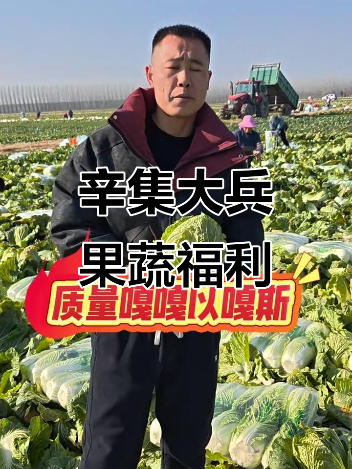 辛集大兵果蔬:新鲜黄心菜与优质鸡宝,乡亲们福利来袭