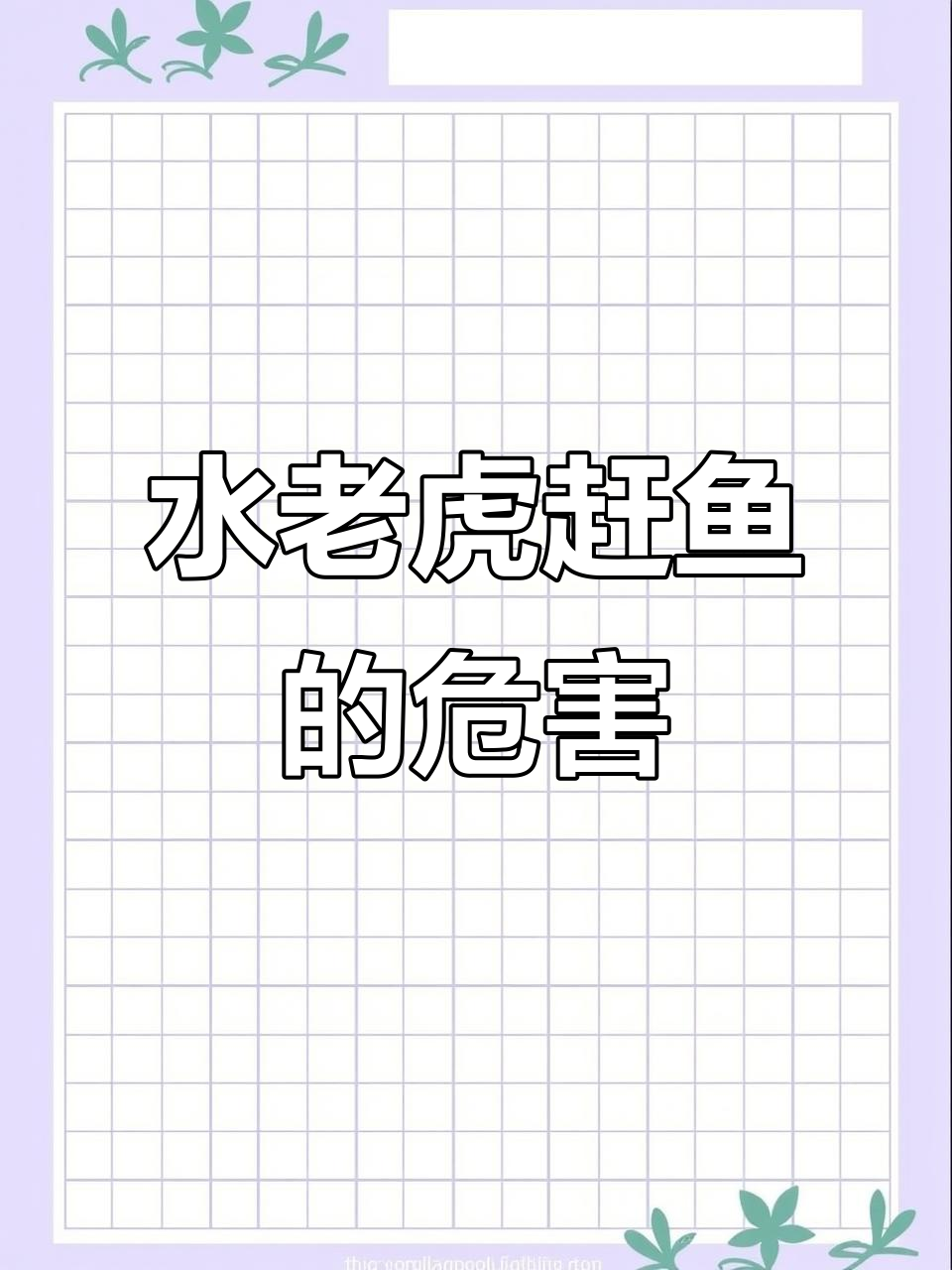 长江水老虎赶鱼:食量惊人,能威胁生态平衡吗?