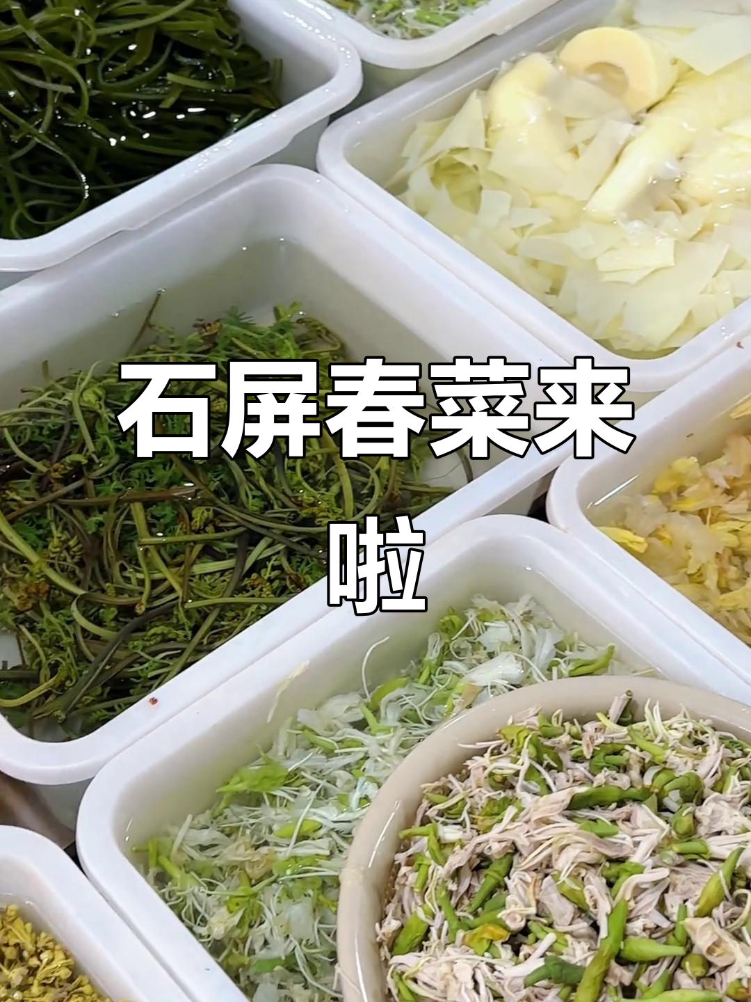 云南春季美食大赏,石屏春菜新鲜上市!