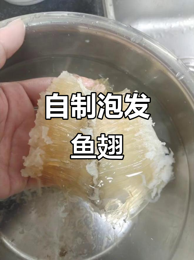 家庭自制泡发鱼翅,满满胶原蛋白无添加