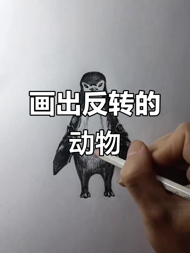 画企鹅倒过来竟成另一种动物,挑战画画大神!
