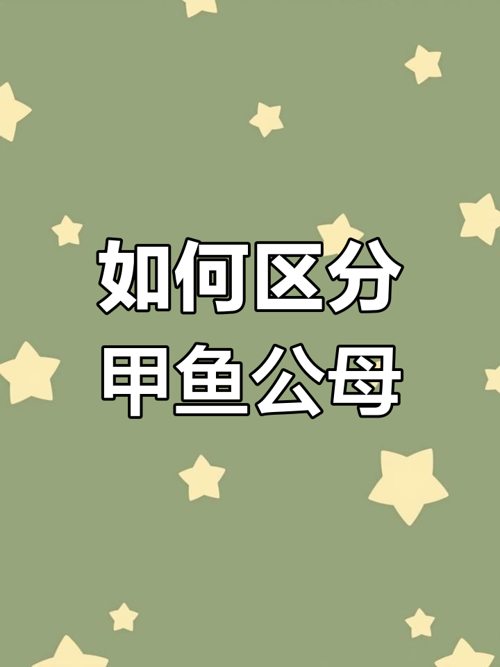 甲鱼公母分辨技巧,教你如何挑选性价比高的品种