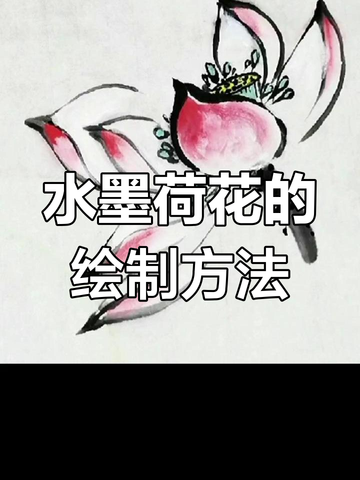 彩墨荷花写意技巧,轻松掌握水墨画精髓