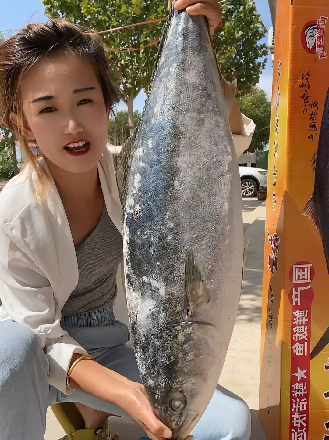 礼盒装的黄金鲅鱼一条8-22斤都有可红烧酱炖做鱼丸包饺子一鱼